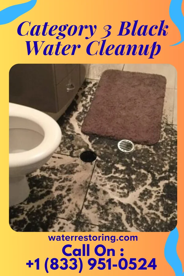 Category 3 Black Water Cleanup in Ocean City, MD