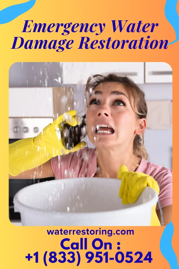 Emergency Water Damage Restoration in Ocean City, MD