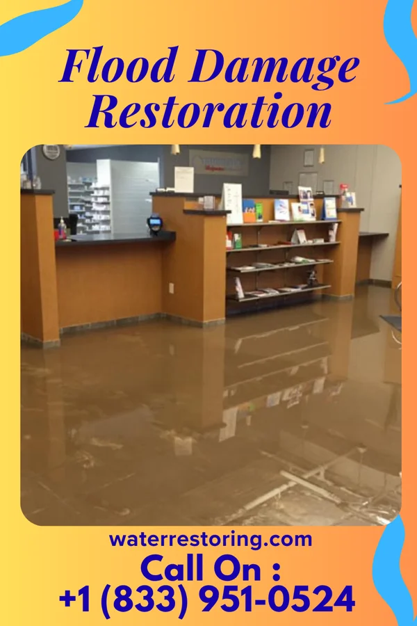 Flood Damage Restoration in Ocean City, MD
