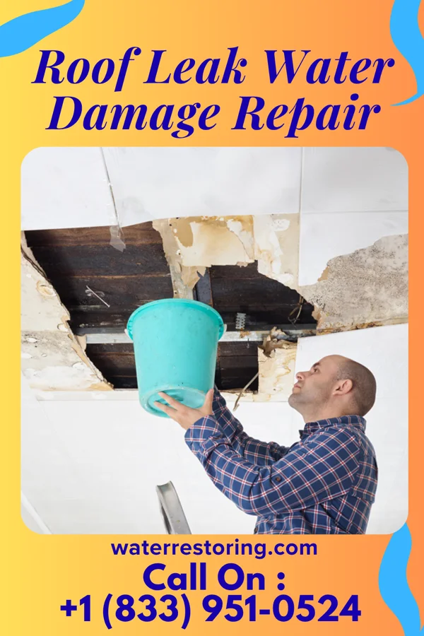 Roof Leak Water Damage Repair in Ocean City, MD