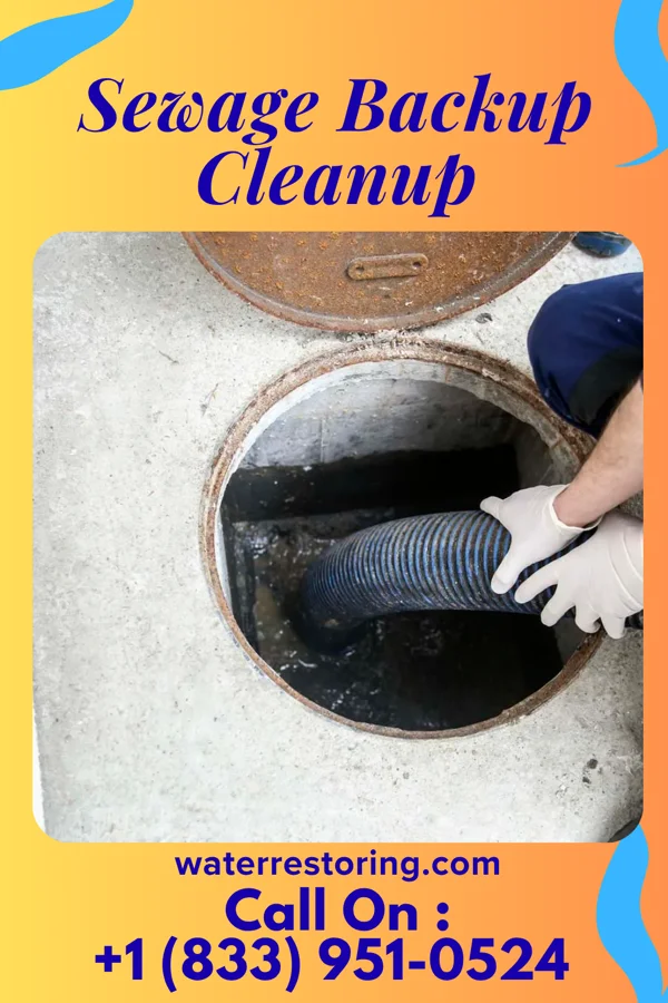 Sewage Backup Cleanup in Ocean City, MD
