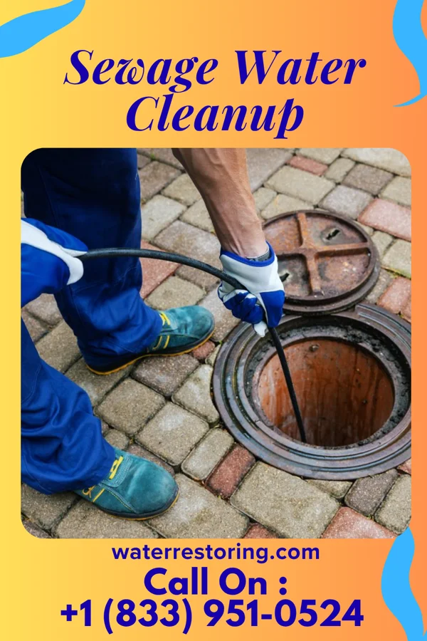 Sewage Water Cleanup in Ocean City, MD